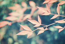 Open Loot交易竞赛：交易Open Loot（OL），分享约 80 万美元等值奖励