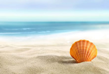 币安将为BAKE、IDEX和SLF添加观察标签