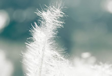 比特币返现活动回归：赚取 1% 比特币返现