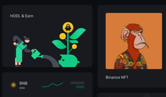 binance币安全仓槓桿新增CVC、FRONT、QI、RAD、TWT资产，逐仓槓桿新增BIDR、T资产
